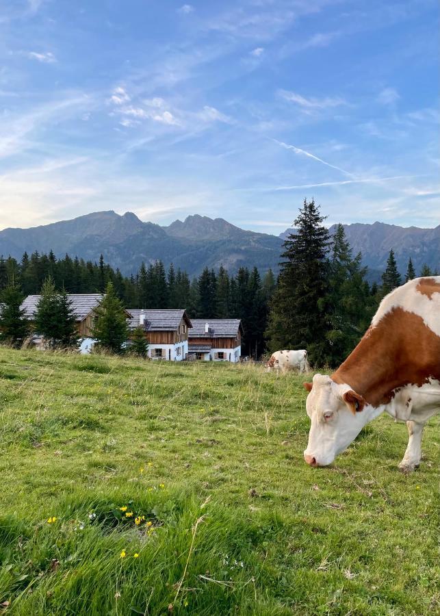 Almdorf Omlach, Fanningberg Weisspriach Extérieur photo